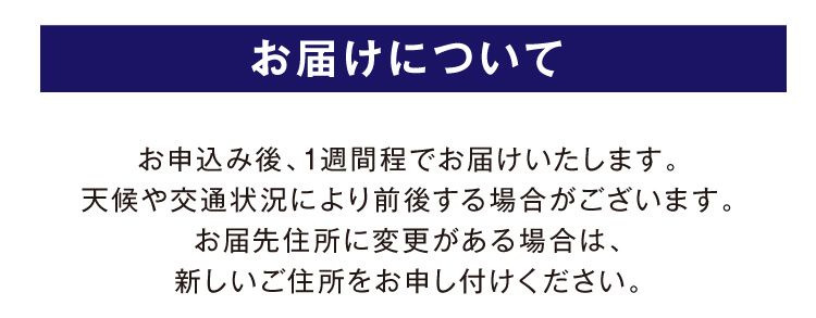 製品情報